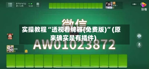 实操教程“透视看牌器(免费版)	”(原来确实是有插件)-第2张图片