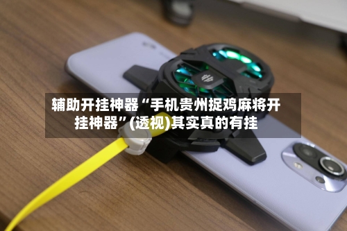 辅助开挂神器“手机贵州捉鸡麻将开挂神器”(透视)其实真的有挂