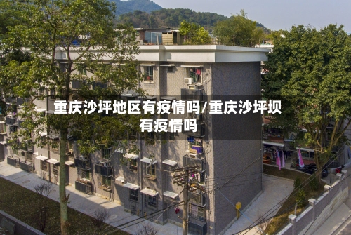 重庆沙坪地区有疫情吗/重庆沙坪坝有疫情吗