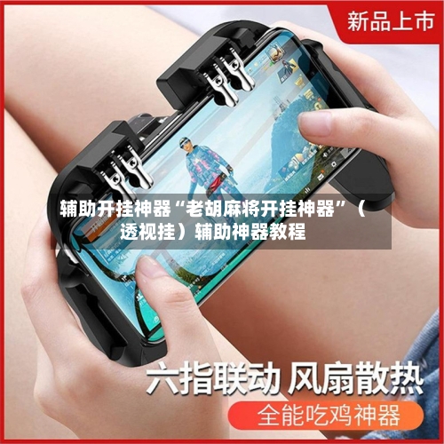 辅助开挂神器“老胡麻将开挂神器	”（透视挂）辅助神器教程-第2张图片