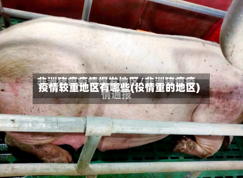 疫情较重地区有哪些(役情重的地区)