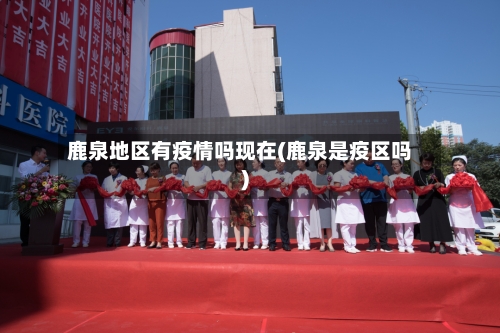 鹿泉地区有疫情吗现在(鹿泉是疫区吗)