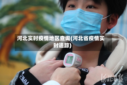 河北实时疫情地区查询(河北省疫情实时追踪)-第2张图片