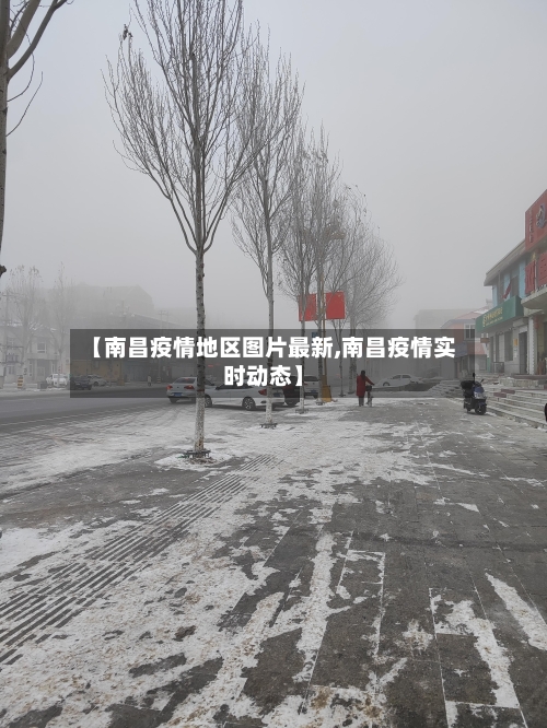 【南昌疫情地区图片最新,南昌疫情实时动态】-第2张图片