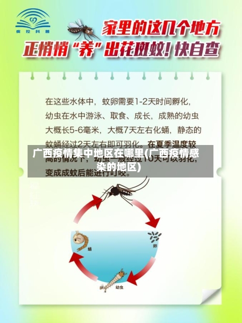 广西疫情集中地区在哪里(广西疫情感染的地区)-第3张图片