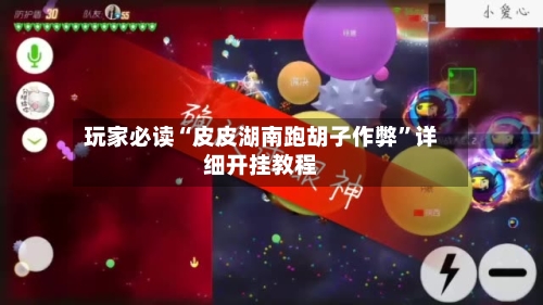 玩家必读“皮皮湖南跑胡子作弊”详细开挂教程