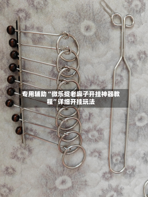 专用辅助“微乐捉老麻子开挂神器教程	”详细开挂玩法-第2张图片
