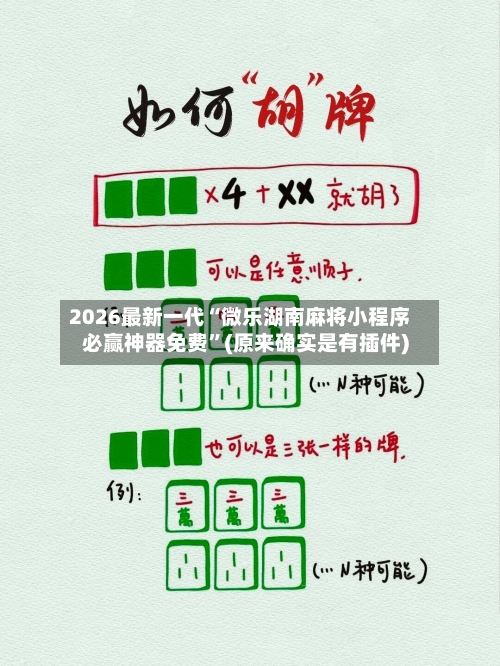2026最新一代“微乐湖南麻将小程序必赢神器免费”(原来确实是有插件)