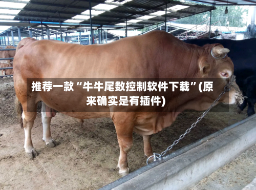 推荐一款“牛牛尾数控制软件下载”(原来确实是有插件)