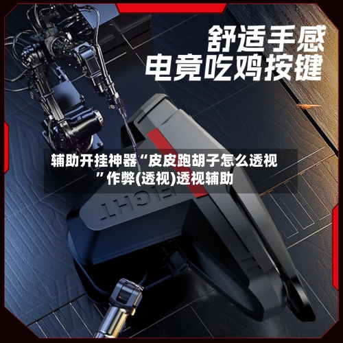 辅助开挂神器“皮皮跑胡子怎么透视”作弊(透视)透视辅助-第1张图片