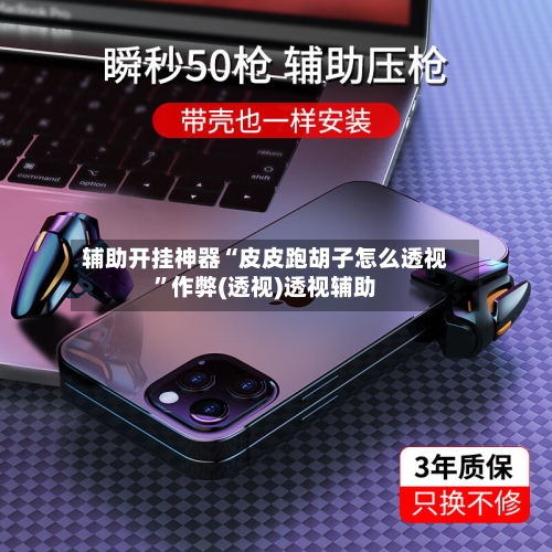 辅助开挂神器“皮皮跑胡子怎么透视	”作弊(透视)透视辅助-第2张图片