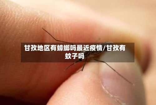 甘孜地区有蟑螂吗最近疫情/甘孜有蚊子吗-第2张图片