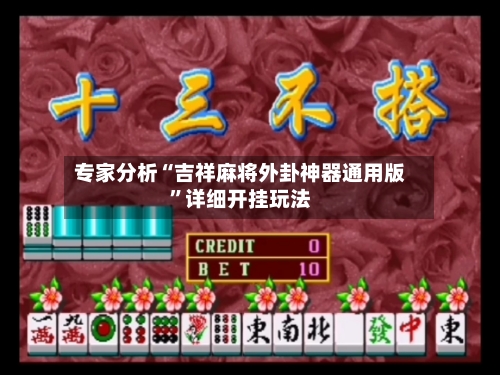 专家分析“吉祥麻将外卦神器通用版	”详细开挂玩法-第2张图片