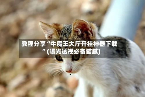 教程分享“牛魔王大厅开挂神器下载”(曝光透视必备猫腻)-第2张图片