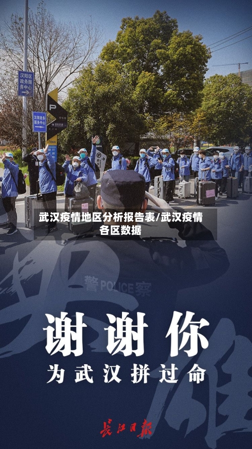 武汉疫情地区分析报告表/武汉疫情各区数据