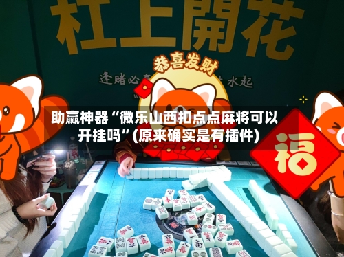 助赢神器“微乐山西扣点点麻将可以开挂吗”(原来确实是有插件)-第3张图片