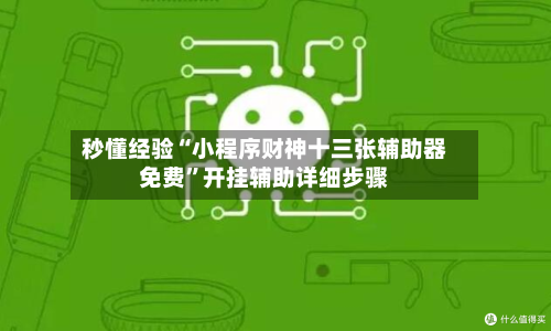 秒懂经验“小程序财神十三张辅助器免费	”开挂辅助详细步骤-第2张图片