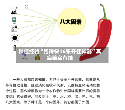 秒懂经验“跑得快16张开挂神器”其实确实有挂