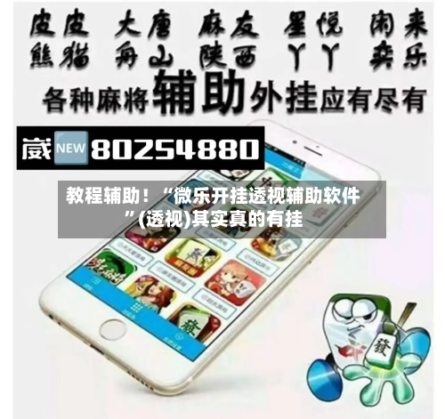 教程辅助！“微乐开挂透视辅助软件	”(透视)其实真的有挂-第3张图片