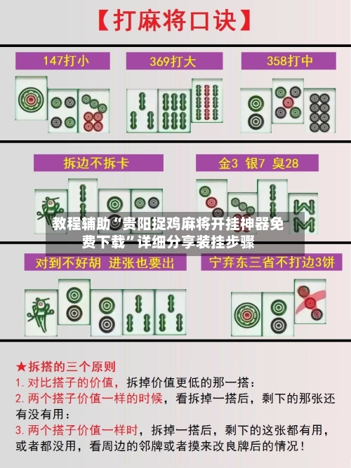 教程辅助“贵阳捉鸡麻将开挂神器免费下载”详细分享装挂步骤-第2张图片