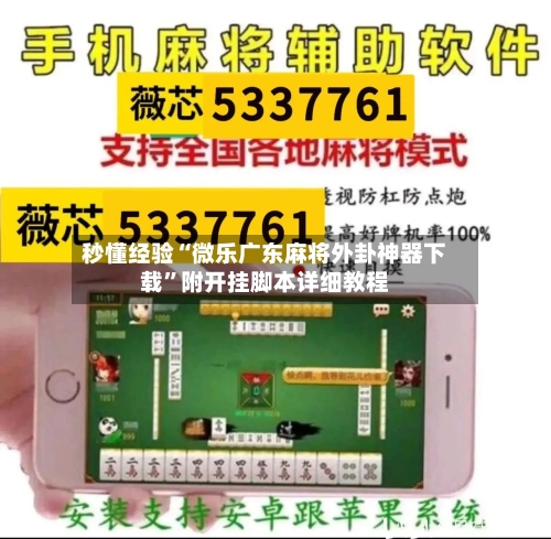 秒懂经验“微乐广东麻将外卦神器下载”附开挂脚本详细教程-第3张图片