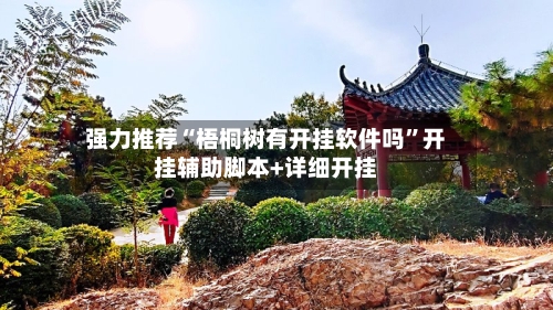 强力推荐“梧桐树有开挂软件吗”开挂辅助脚本+详细开挂-第3张图片