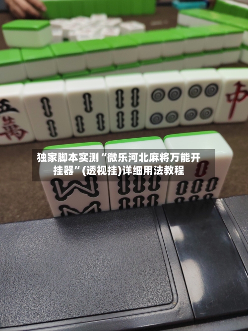 独家脚本实测“微乐河北麻将万能开挂器”(透视挂)详细用法教程-第2张图片