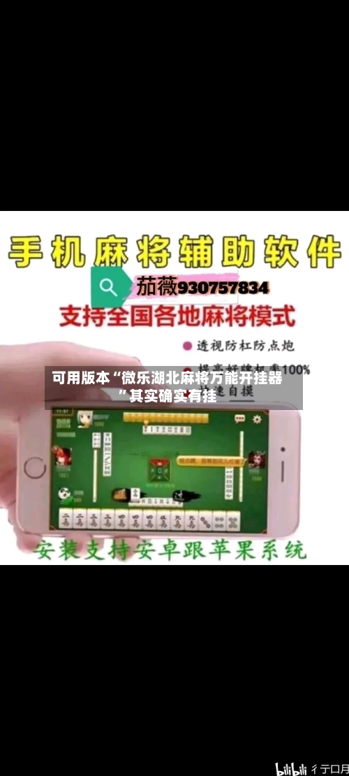 可用版本“微乐湖北麻将万能开挂器	”其实确实有挂-第2张图片