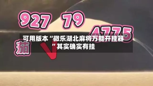 可用版本“微乐湖北麻将万能开挂器”其实确实有挂