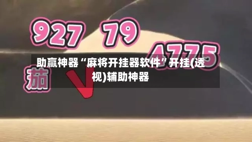 助赢神器“麻将开挂器软件”开挂(透视)辅助神器-第2张图片