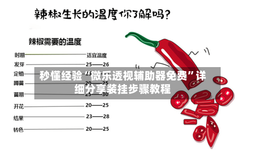 秒懂经验“微乐透视辅助器免费”详细分享装挂步骤教程-第2张图片