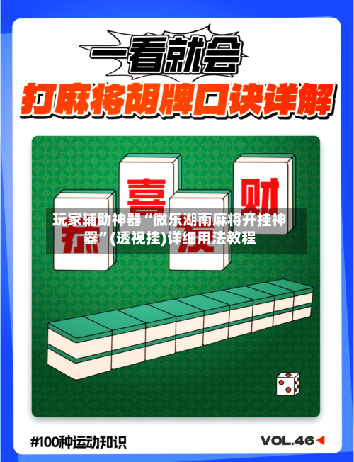 玩家辅助神器“微乐湖南麻将开挂神器”(透视挂)详细用法教程-第2张图片