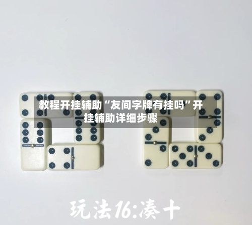 教程开挂辅助“友间字牌有挂吗	”开挂辅助详细步骤-第2张图片