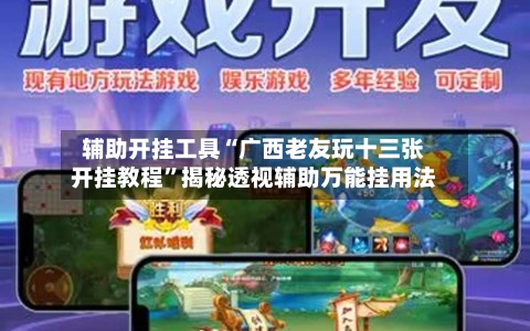辅助开挂工具“广西老友玩十三张开挂教程”揭秘透视辅助万能挂用法