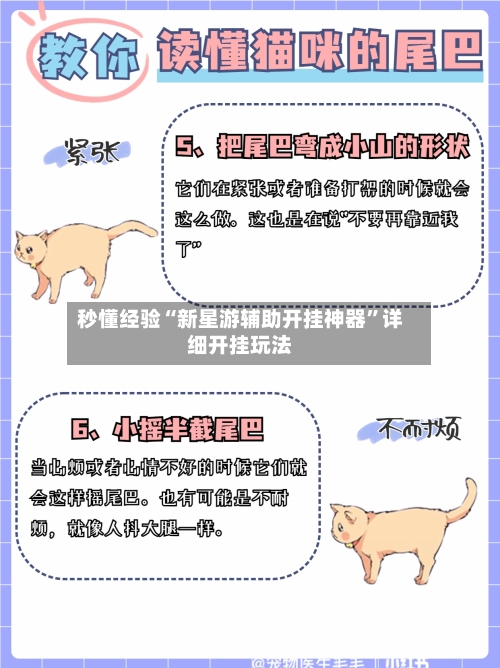 秒懂经验“新星游辅助开挂神器”详细开挂玩法-第2张图片