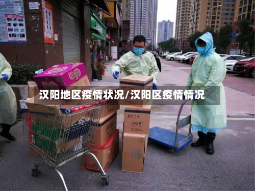 汉阳地区疫情状况/汉阳区疫情情况