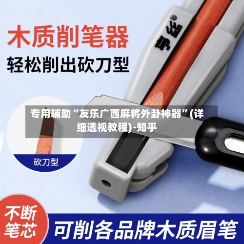 专用辅助“友乐广西麻将外卦神器”(详细透视教程)-知乎-第3张图片