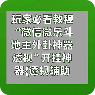 玩家必看教程“微信微乐斗地主外卦神器透视”开挂神器{透视辅助}全揭秘-第2张图片