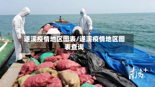 遂溪疫情地区图表/遂溪疫情地区图表查询