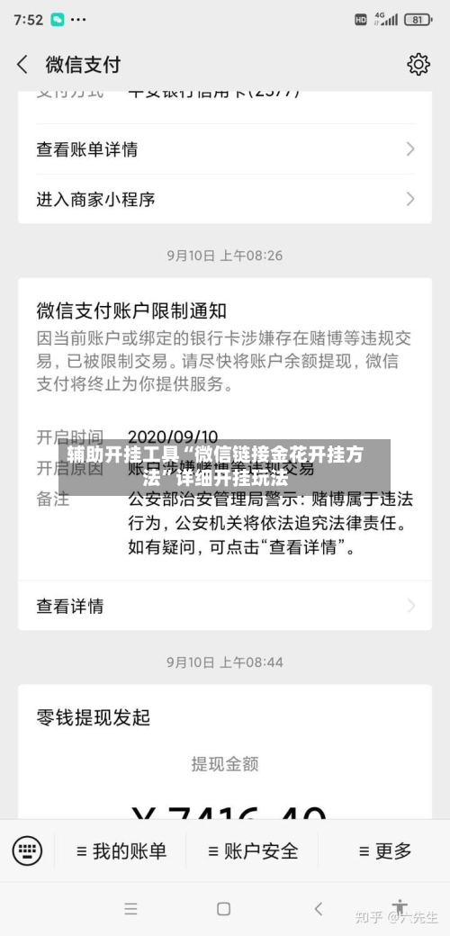 辅助开挂工具“微信链接金花开挂方法”详细开挂玩法-第3张图片