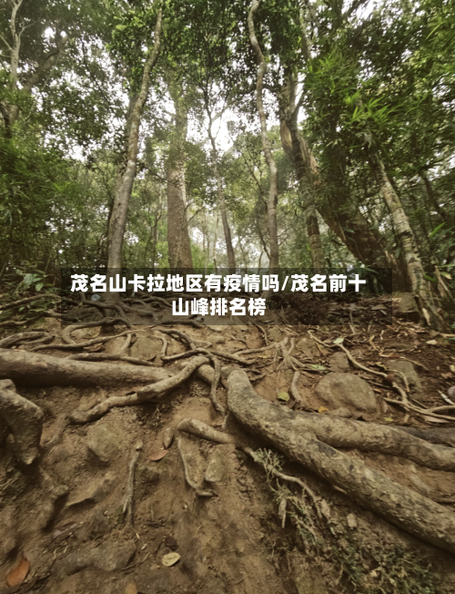 茂名山卡拉地区有疫情吗/茂名前十山峰排名榜-第2张图片