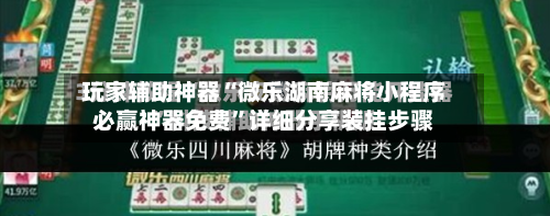 玩家辅助神器“微乐湖南麻将小程序必赢神器免费	”详细分享装挂步骤-第2张图片