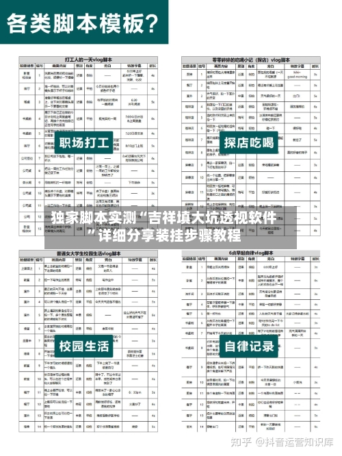 独家脚本实测“吉祥填大坑透视软件”详细分享装挂步骤教程-第3张图片