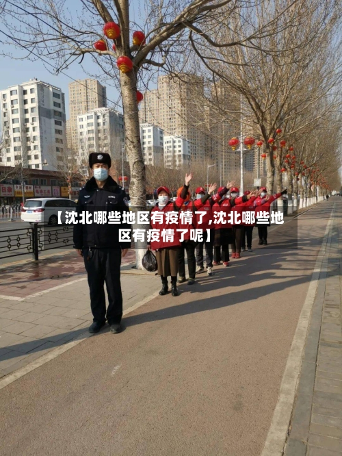 【沈北哪些地区有疫情了,沈北哪些地区有疫情了呢】-第2张图片
