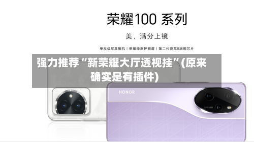 强力推荐“新荣耀大厅透视挂”(原来确实是有插件)-第3张图片