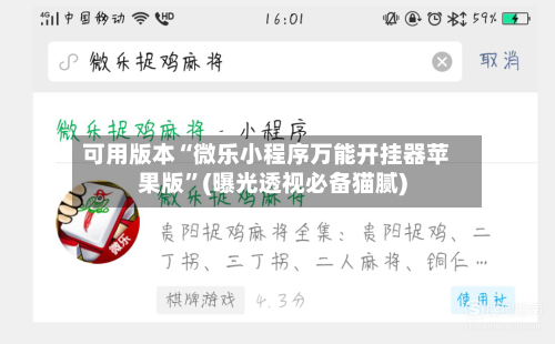 可用版本“微乐小程序万能开挂器苹果版	”(曝光透视必备猫腻)-第3张图片