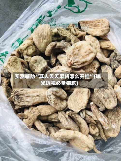 实测辅助“真人天天麻将怎么开挂	”(曝光透视必备猫腻)-第2张图片