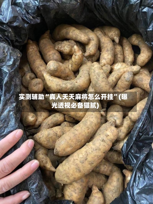 实测辅助“真人天天麻将怎么开挂”(曝光透视必备猫腻)-第3张图片