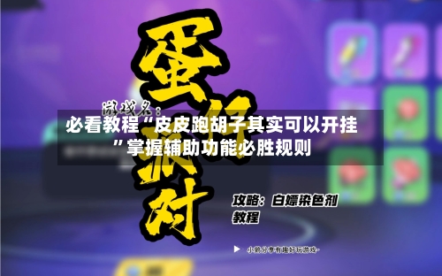 必看教程“皮皮跑胡子其实可以开挂	”掌握辅助功能必胜规则-第2张图片