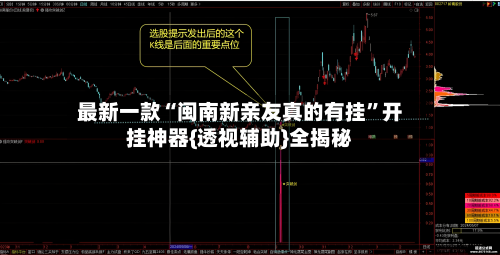 最新一款“闽南新亲友真的有挂”开挂神器{透视辅助}全揭秘-第2张图片